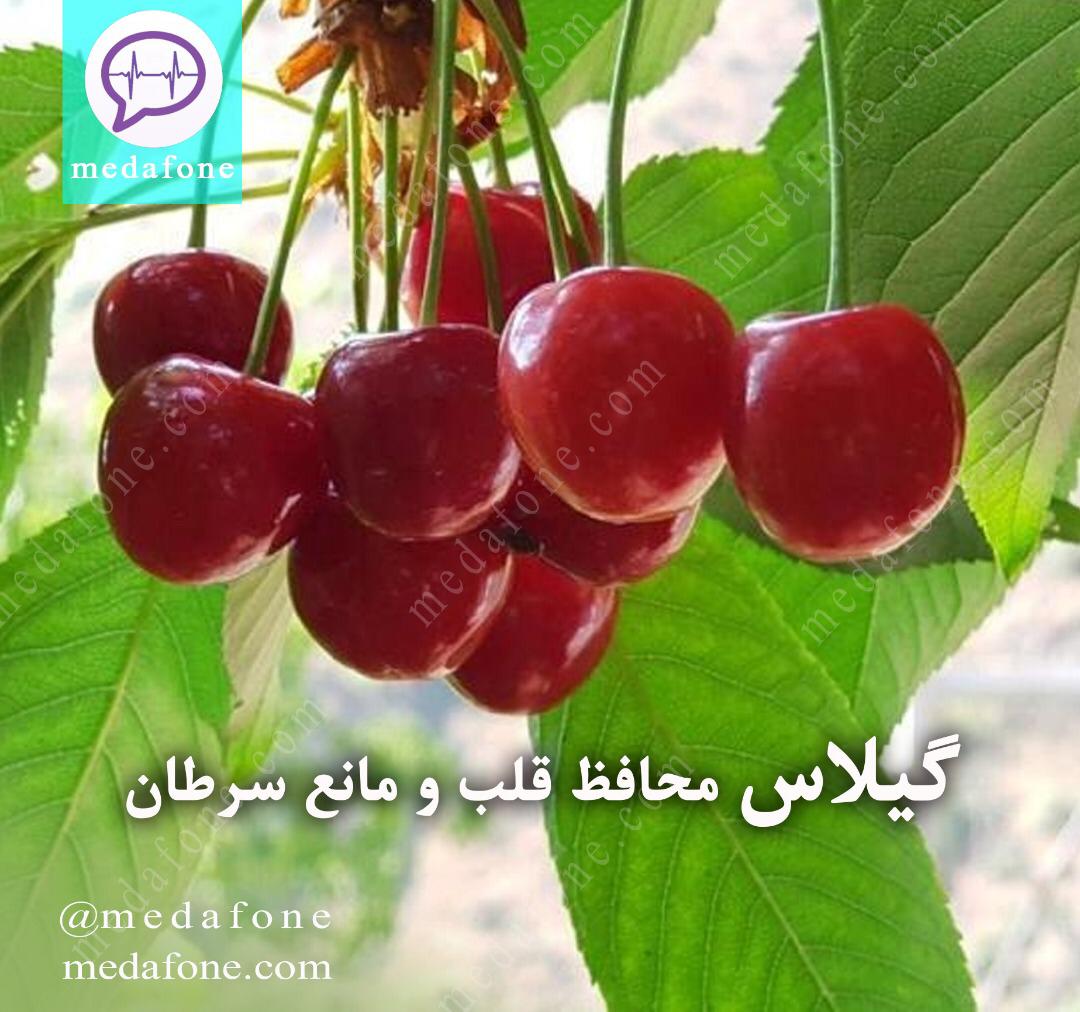 گیلاس محافظ قلب و مانع سرطان