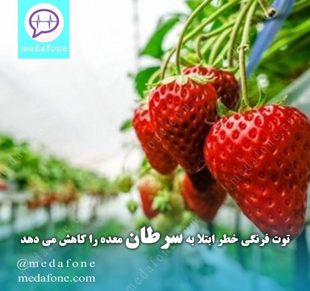 توت‌فرنگی خطر ابتلا به سرطان معده را کاهش می‌دهد