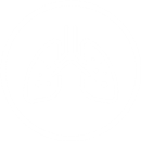 ریه، آسم و آلرژی